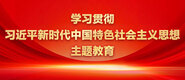 巨胸喷水视频在线www学习贯彻习近平新时代中国特色社会主义思想主题教育_fororder_ad-371X160(2)